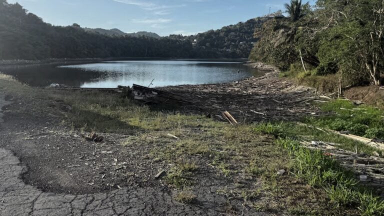 “Va a variar conforme el sistema vaya recuperando”: AAA sin hora exacta para restablecer agua en Cupey