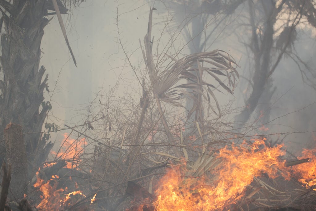 Por qué Puerto Rico arde: la sequía que seca los embalses también enciende el monte