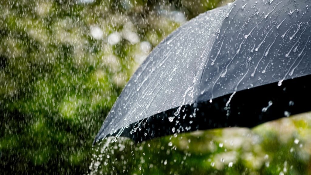 Calor, aguaceros y tronadas: así arranca el fin de semana