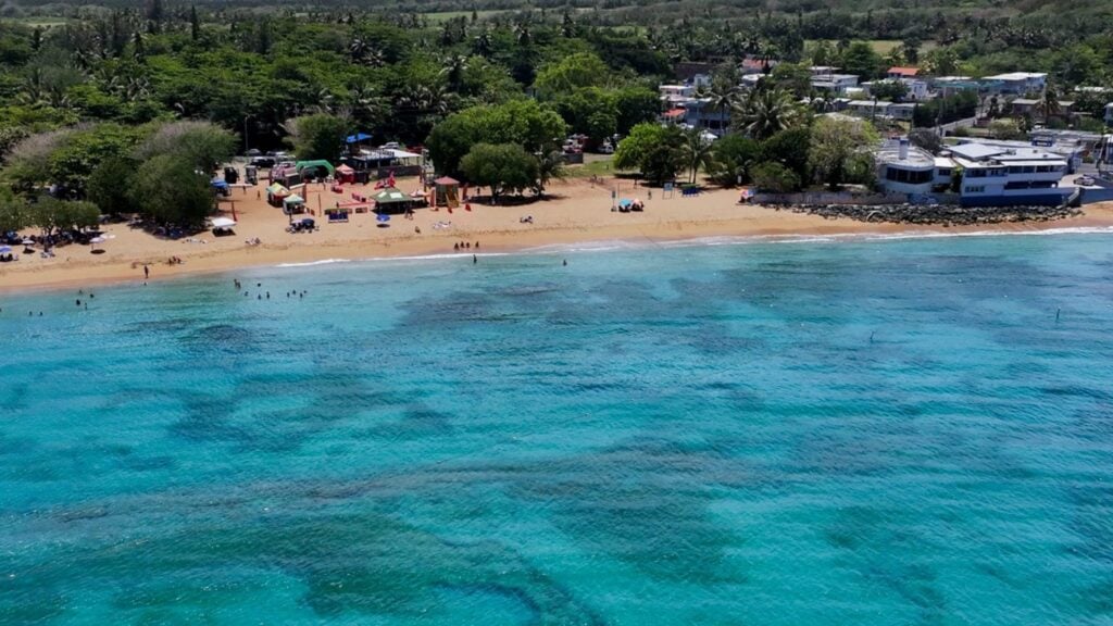 ¡Orgullo para Vega Baja! Playa Puerto Nuevo recibe por octava vez la Bandera Azul