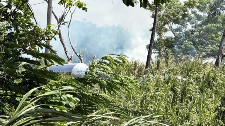 UPR activa plan para prevenir los incendios en el Jardín Botánico