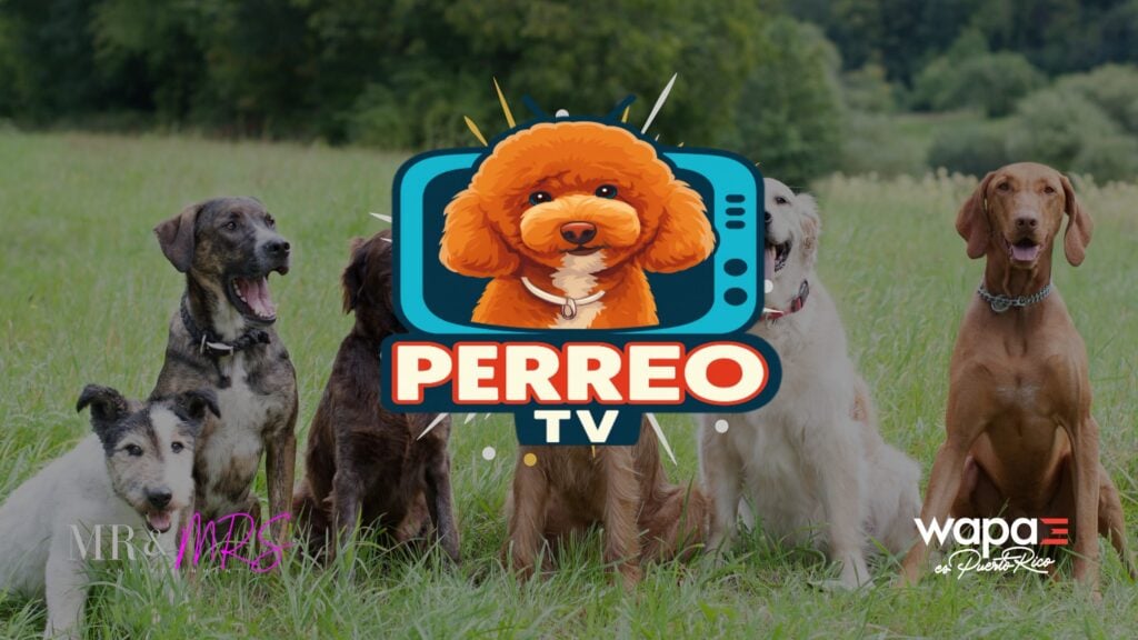 El programa donde los perros son las verdaderas estrellas regresa con segunda temporada