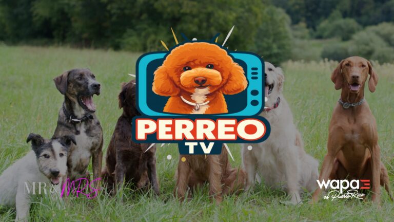 El programa donde los perros son las verdaderas estrellas regresa con segunda temporada